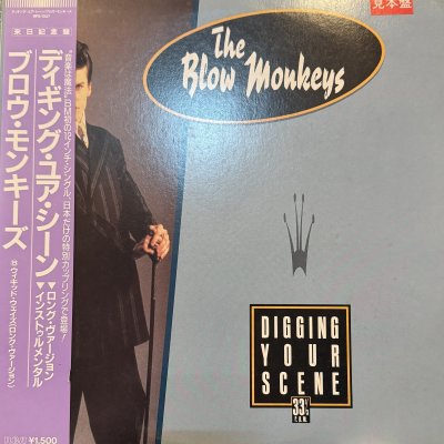 画像1: The Blow Monkeys - Digging Your Scene (帯付き国内盤) (12'') (ピンピン！！)