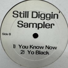 他の写真1: Nas feat. AZ - Life’s  Bitch (Buckwild Remix) (12'')