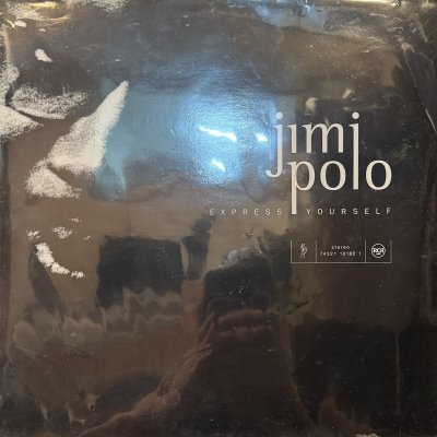 画像1: Jimi Polo - Express Yourself (12'')