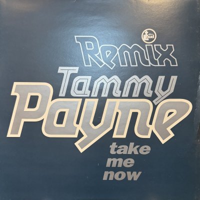 画像1: Tammy Payne - Take Me Now (Remix) (12'')　（キレイ！！）