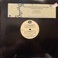 Joe T. Vannelli Project feat. Harambee - Sweetest Day Of May (12'') (キレイ!!)