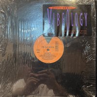 Paula Abdul - Vibeology (12'') (キレイ!!)