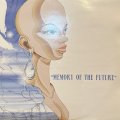DJ Nozawa - Memory Of The Future (12'')