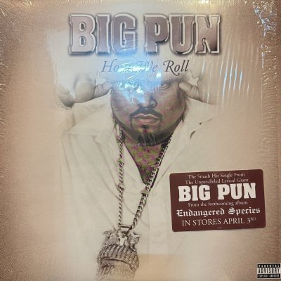 画像1: Big Pun feat. Ashanti - How We Roll (12'') (キレイ!!)