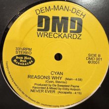 他の写真1: Cyan - Reasons Why (12'')