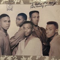Hi-Five - I Like The Way (The Kissing Game) (12'') (US Original !!)
