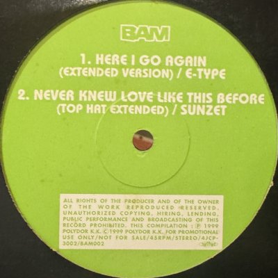 画像1: Sunzet - Never Knew Love Like This Before (12'')