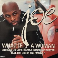 Joe - What If A Woman (12'') (レアなジャケ付きEU盤！！) (キレイ!!)