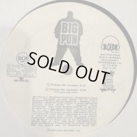 Big Pun feat. Miss Jones - Punish Me (12'') (キレイ！！)