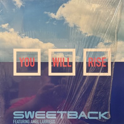 画像1: Sweetback feat. Amel Larrieux - You Will Rise (12'') (キレイ！！)