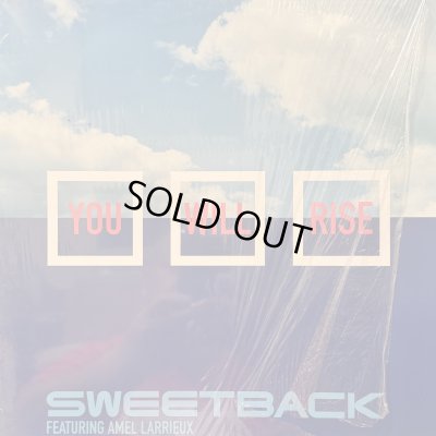 画像1: Sweetback feat. Amel Larrieux - You Will Rise (12'') (キレイ!!)