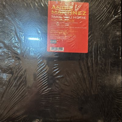 画像1: Angie Martinez feat. Kelis - Take You Home (12'') (キレイ!!)