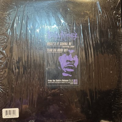 画像1: Busta Rhymes feat. Janet Jackson - What's It Gonna Be?! / Tear Da Roof Off (12'') (キレイ!!)
