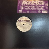 Big Moe feat. Project Pat, Big Pokey, D-Gotti, Ronnie Spencer & Z-Ro - Confidential Playa (12'') (キレイ!!)