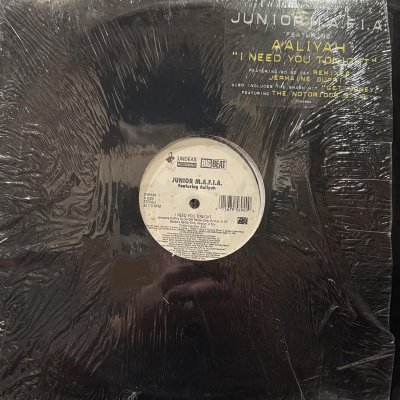 画像1: Junior M.A.F.I.A. feat. Aaliyah - I Need Your Tonight (b/w Get Money) (12'')