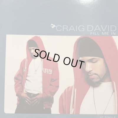 画像1: Craig David - Fill Me In (12'')
