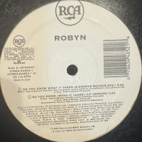 Robyn - Do You Know (What It Takes) (12'')