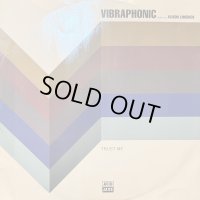 Vibraphonic - The Bounce (12'')