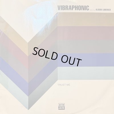 画像1: Vibraphonic - The Bounce (12'')