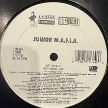 他の写真1: Junior M.A.F.I.A. feat. Aaliyah - I Need Your Tonight (b/w Get Money) (12'')