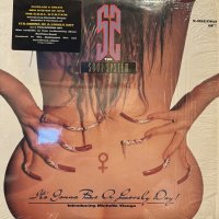 The S.O.U.L. S.Y.S.T.E.M. - It's Gonna Be A Lovely Day  (12''×2)