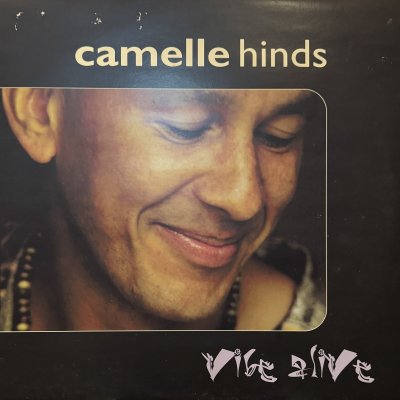 画像1: Camelle Hinds - Vibe Alive (LP) (inc. Time To Come Home & Carupano) (キレイ!!)