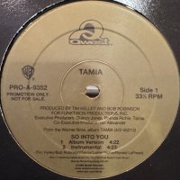 Tamia - Falling For You (a/w So Into You) (12'') (正真正銘のUS Original Promo !!)