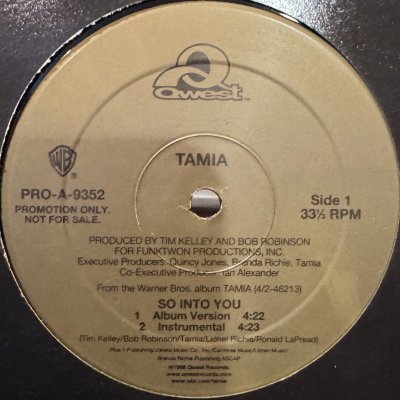 画像1: Tamia - Falling For You (a/w So Into You) (12'') (正真正銘のUS Original Promo !!)