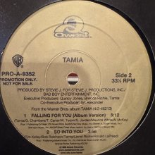 他の写真1: Tamia - Falling For You (a/w So Into You) (12'') (正真正銘のUS Original Promo !!)
