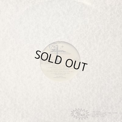 画像1: Elisha La'Verne ‎– I Like What You Do (Radio Mix) (12'') (キレイ！！)