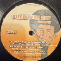 Various - Fillin' Tha Gap Volume 10 (inc. Justin Timberlake - Rock Your Body, Skee-Lo - I Wish, Busta Rhymes - I Know What You Want, Smilez &amp; Southstar - Tell Me) (12'')