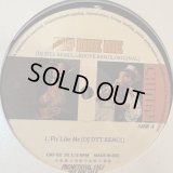 Chingy feat. Amerie - Fly Like Me (DJ Dtt Remix) (12'')