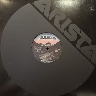 画像1: Alison Limerick - Make It On My Own (12'') (US Original Press !!) (キレイ！！)