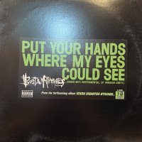 Busta Rhymes - Put Your Hands Where My Eyes Could See (12'')