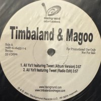 Timbaland & Magoo feat. Tweet - All Ya'll (12'') (キレイ!!)
