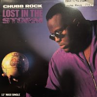 Chubb Rock - Lost In The Storm (12'') (正真正銘のUS Original Press !!)
