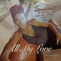 Queen Pen - All My Love (b/w Party Ain't A Party) (12'') (キレイ!!)