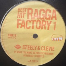 他の写真1: V.A. - Steely & Clevie Best Hit Ragga Factory 1 (inc, All Night Long, For Your Love, What You Won't Do For Love and more) (12'')
