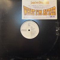 Lords Of The Underground - What I'm After (12'') (US Original Press !!)
