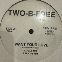 Two-B-Free - Dreams Come True (b/w I Believe In Miracles & I Want Your Love) (12'')