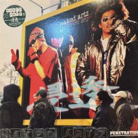 Naked Artz - Penetration (浸透) (LP)