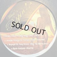 V.A. - What's Poppin!? Vol.13 (inc. Fatman Scoop feat. Lia - Sex You Up etc..) (12'') (キレイ!!)