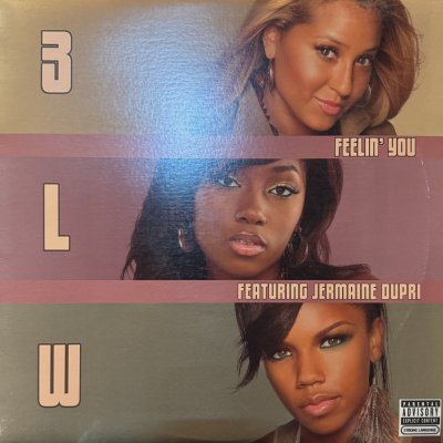 画像1: 3LW feat. Jermaine Dupri - Feelin' You (12'')