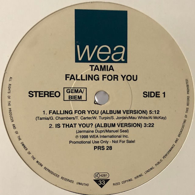レア Tamia - Falling For You (200X Remix) 数々の賞を受賞 ...