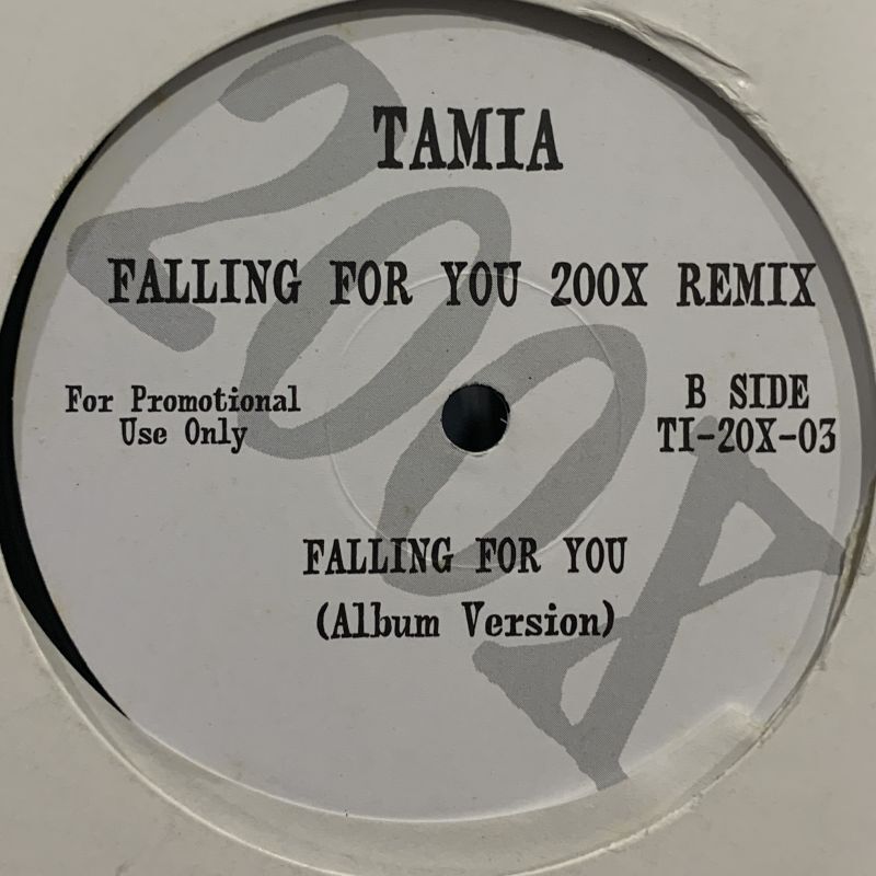 Tamia - Falling For You (200X Remix) (12'') - FATMAN RECORDS