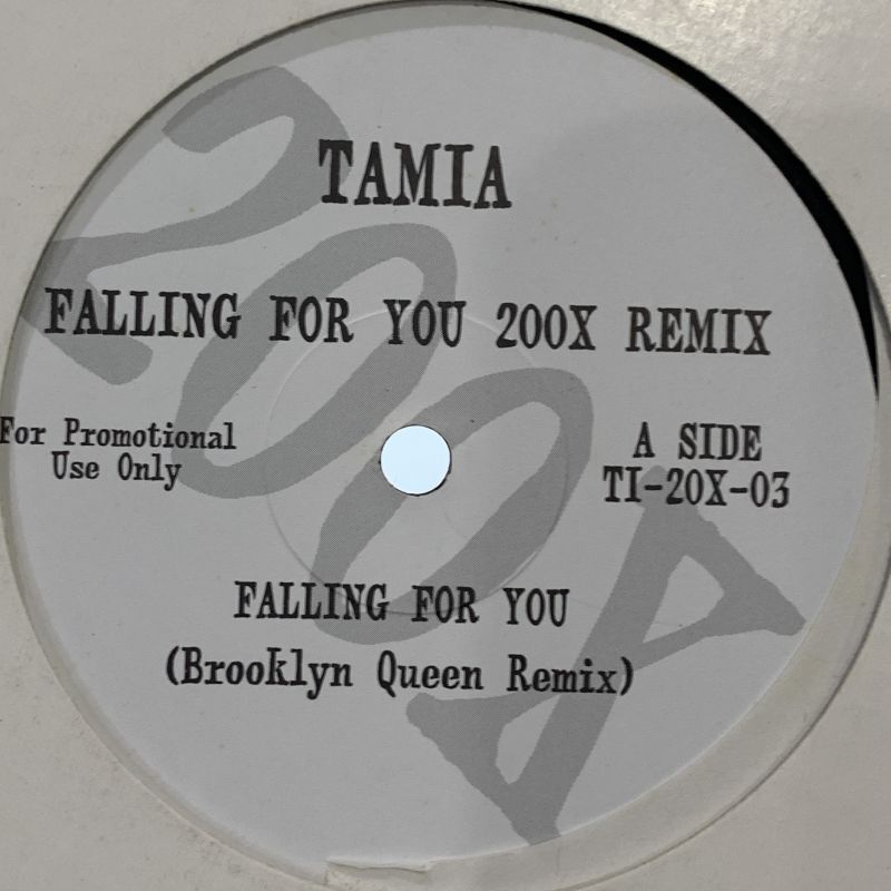 Tamia - Falling For You (200X Remix) (12'') - FATMAN RECORDS