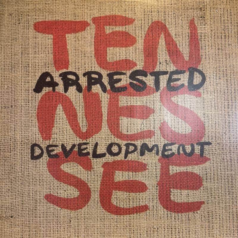 Arrested Development - Tennessee (inc. Remix !!) (12'')
