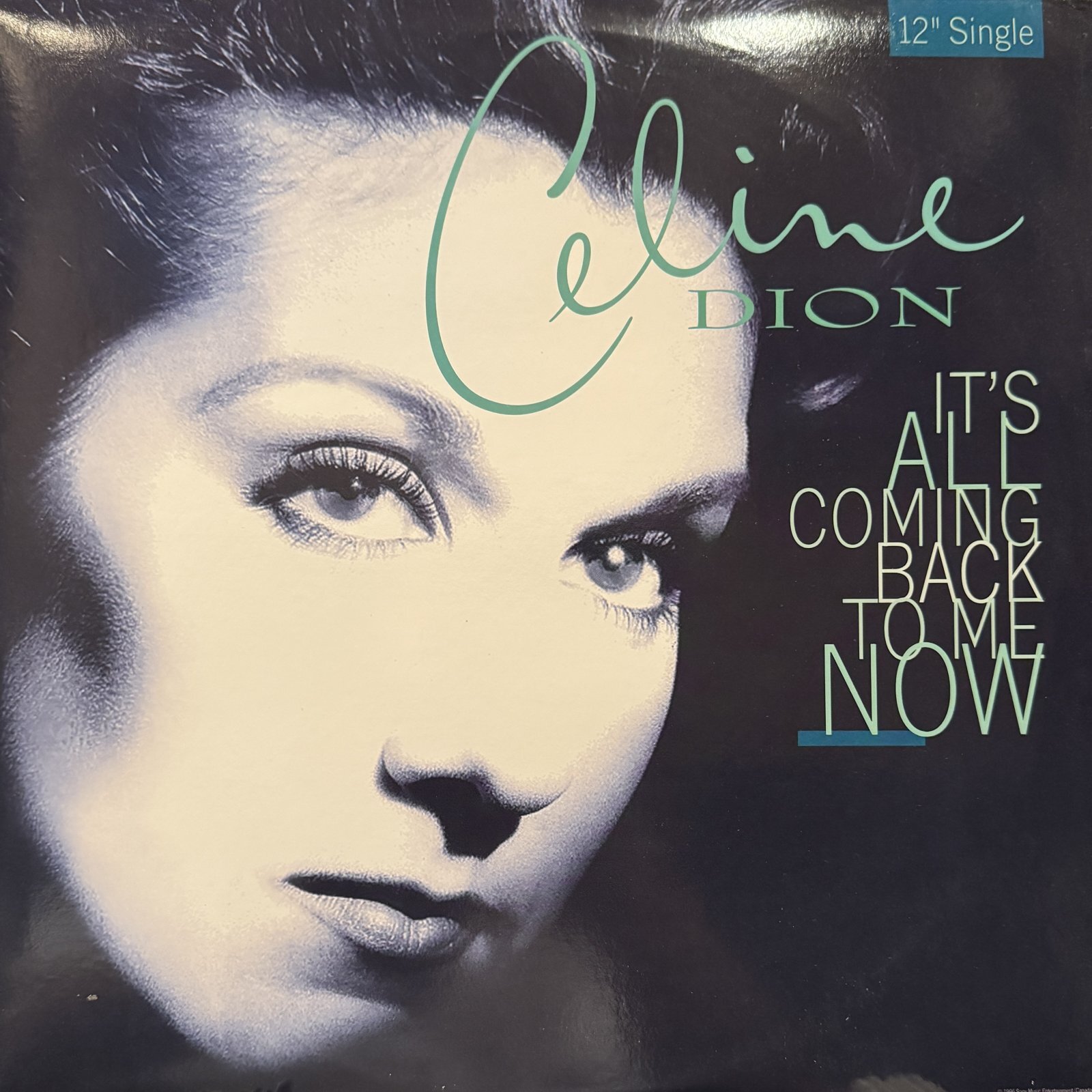 Celine Dion - It's All Coming Back To Me Now (Tony Moran Remix) (12'')