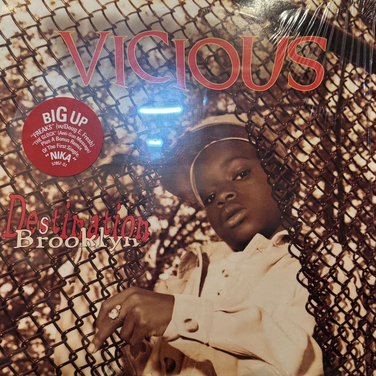 Vicious - Destination Brooklyn (LP)